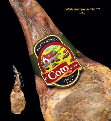 Epaule Ib�rique "Recebo" certifi�e - El Coto de Gal�n
